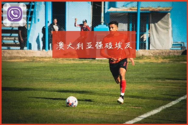 澳大利亚强碰埃及