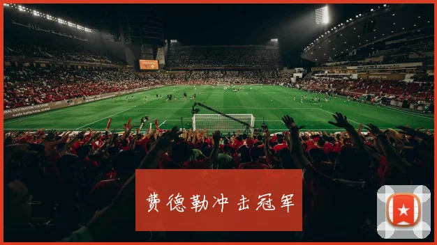 费德勒冲击冠军